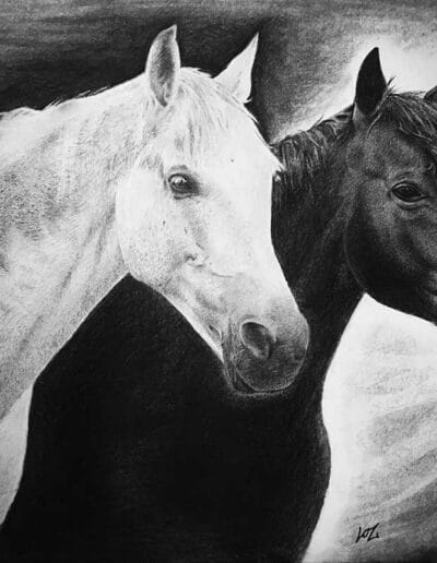 Pet-Portraits-in-Charcoal